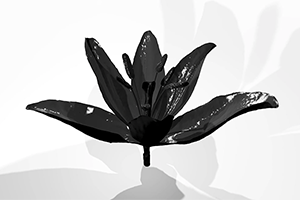 Archiving flowers